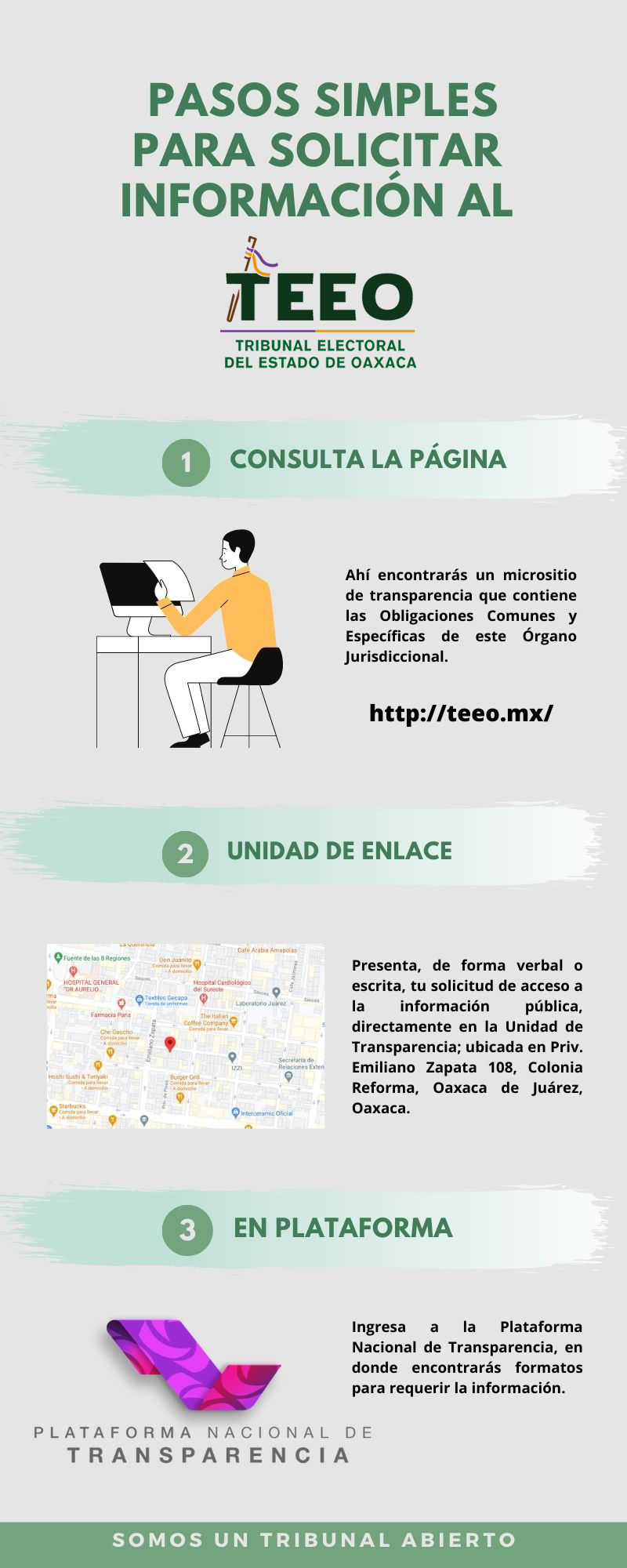 infografia solicitu de informacion teeo
